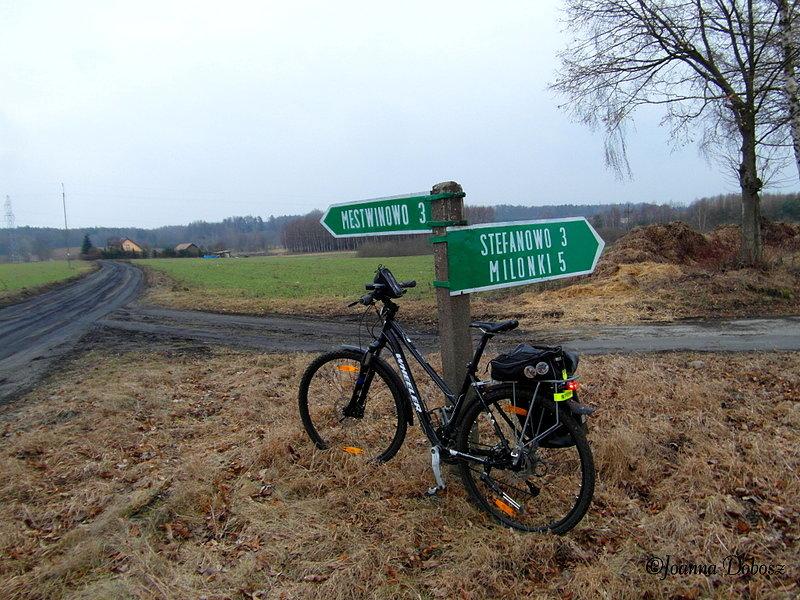Na rozstaju dróg
