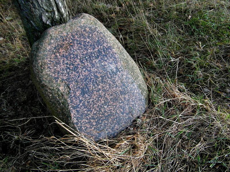 Lasek w miejscowości Turze nad Jeziorem Damaszka-cmentarz dla koni