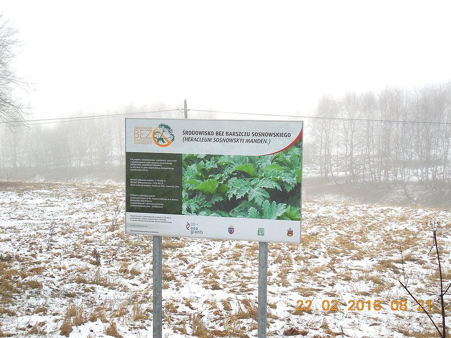 Środowisko bez Barszczu Sosnowskiego
