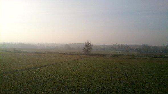 Piękny poranek