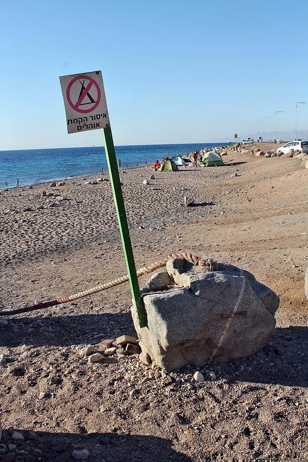 Plażowo red sea