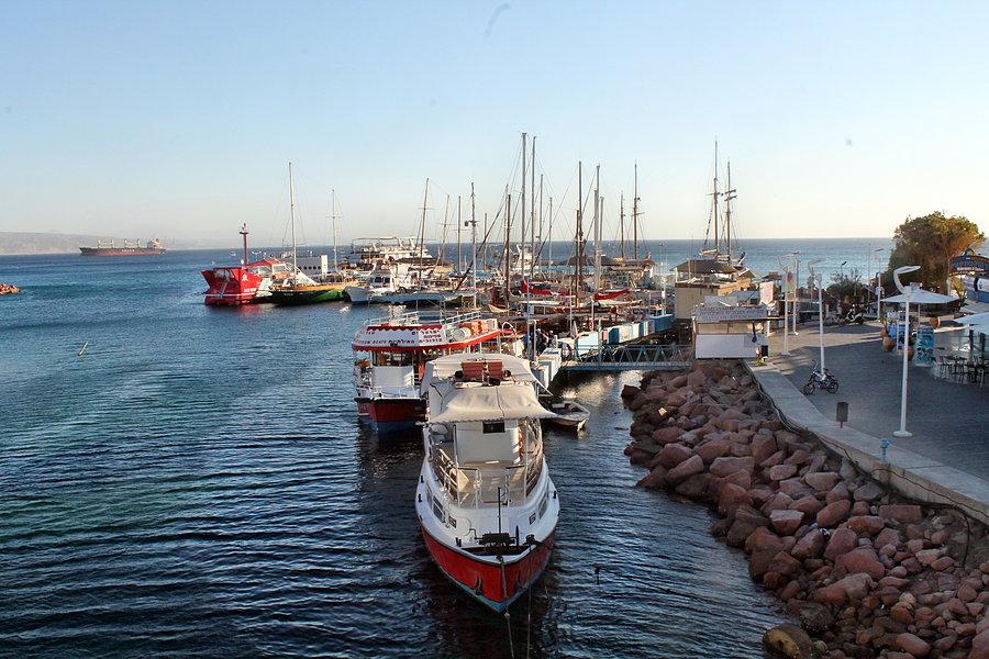 Porcik Eilat
