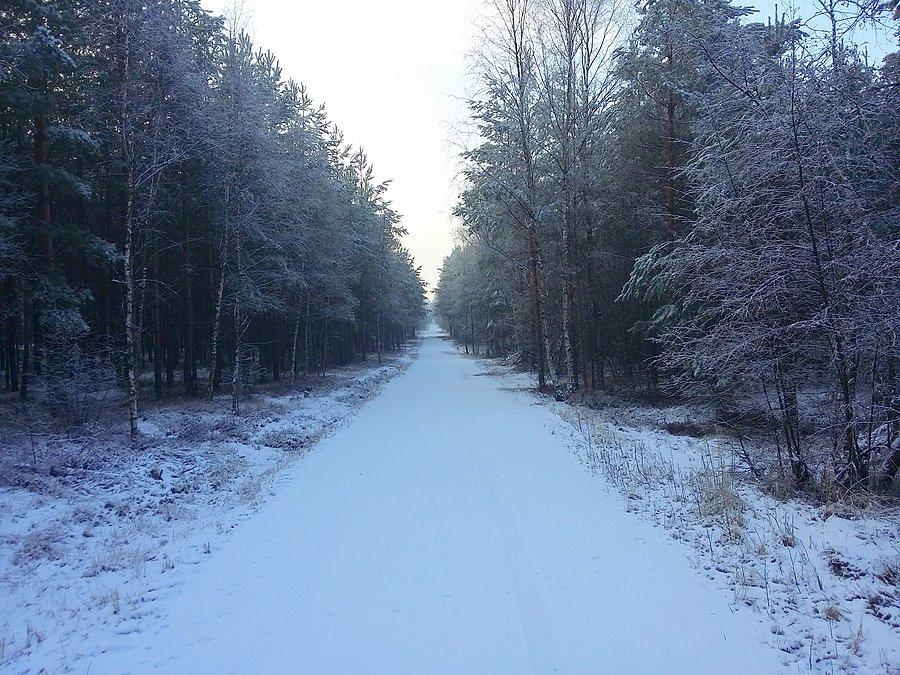 Zaśnieżona pożarówka