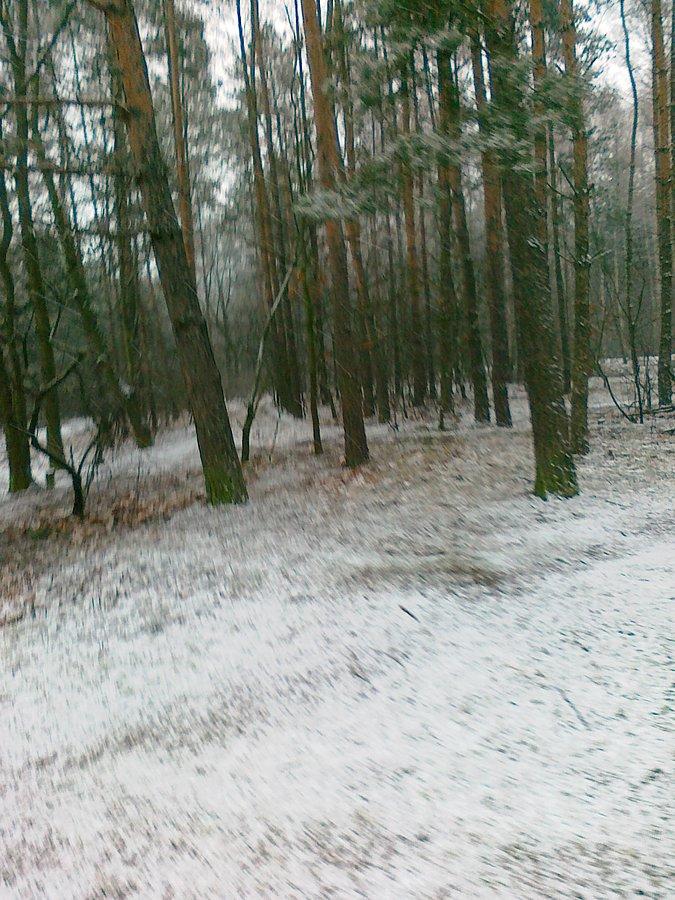 Śnieg