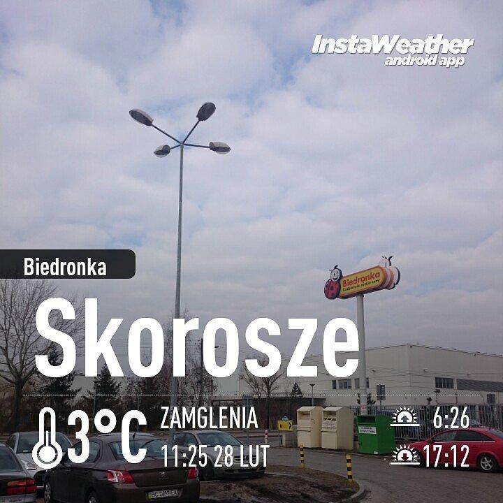 Zakupy w Biedrze