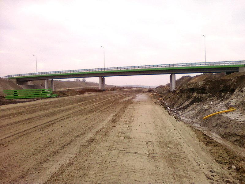 Okolice Skoszew