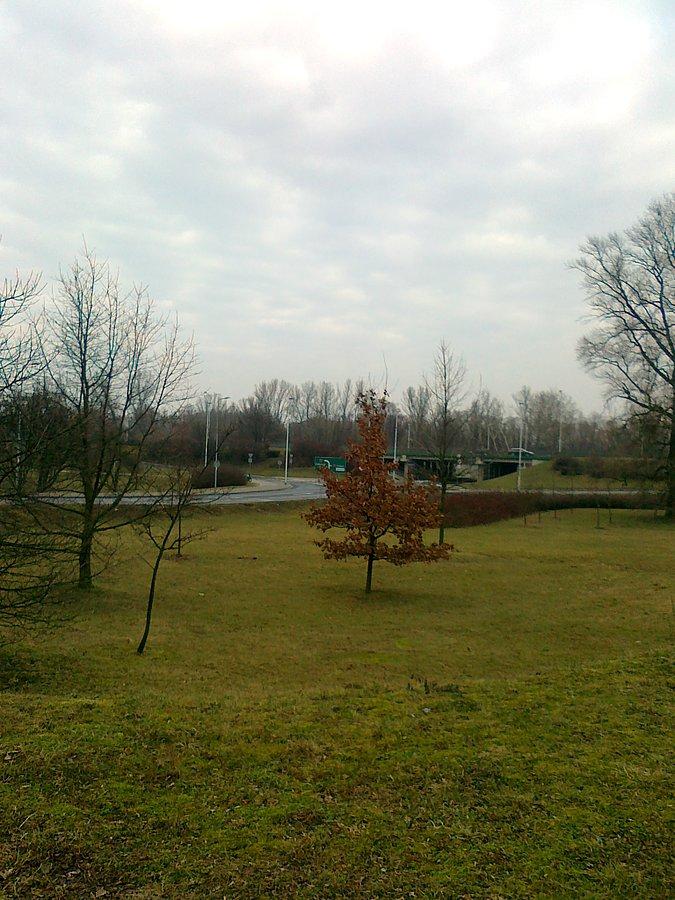 Przy Gwiaździstej