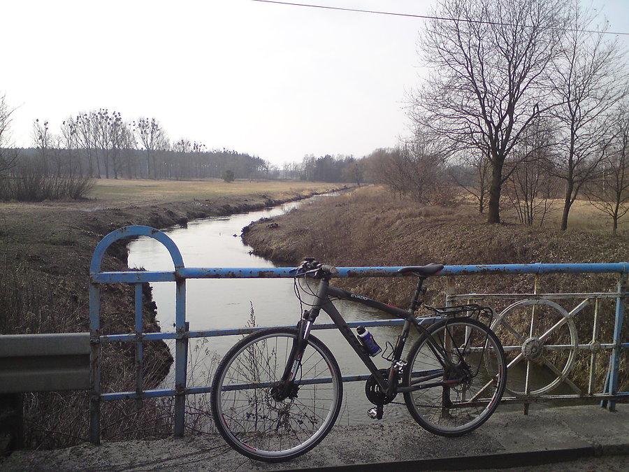 Oczyszczone brzegi Stobrawy