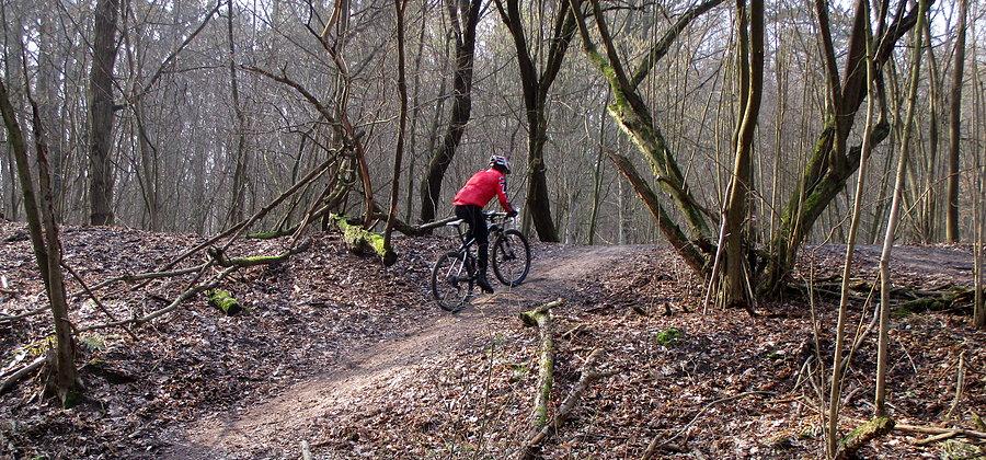 MTB w WPN (2)