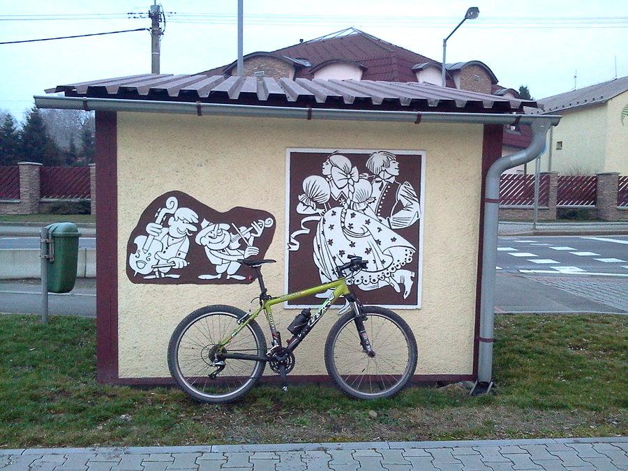 Ropice