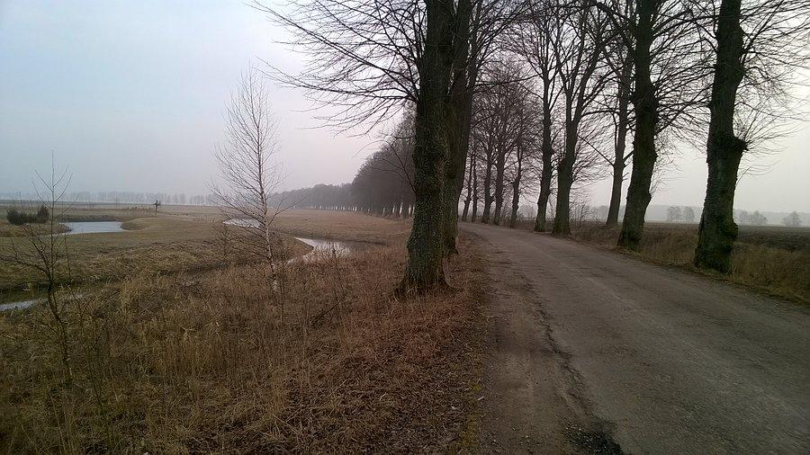 Typowa Mazurskia droga - szpalery drzew i nawierzchnia kładziona łopatą