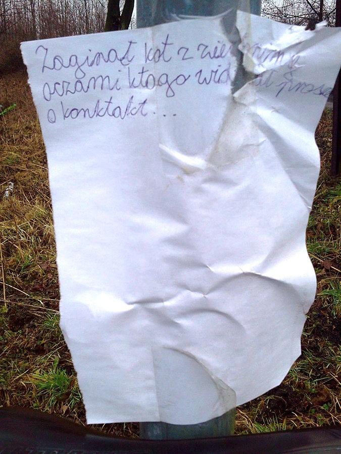 Ktokolwiek widział, ktokolwiek wie