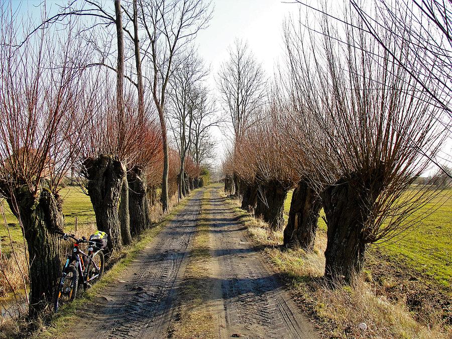 Wycieczka nad morze - Jantar.Na trasie