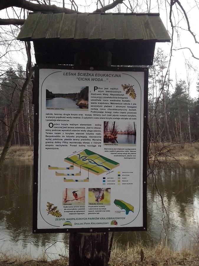 Nad Pilicą w lesie spalskim
