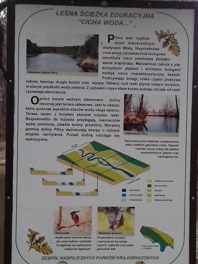 Informacyjne tablice w lesie spalskim