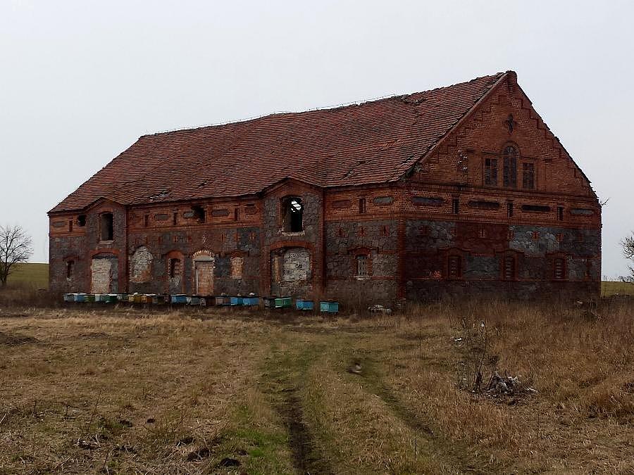 Boguszyce (niem. Burghagen) – stare budynki gospodarcze