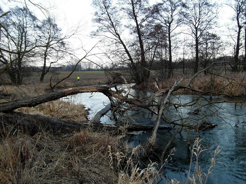 Poszukiwania kamienia - rzeka Wierzyca