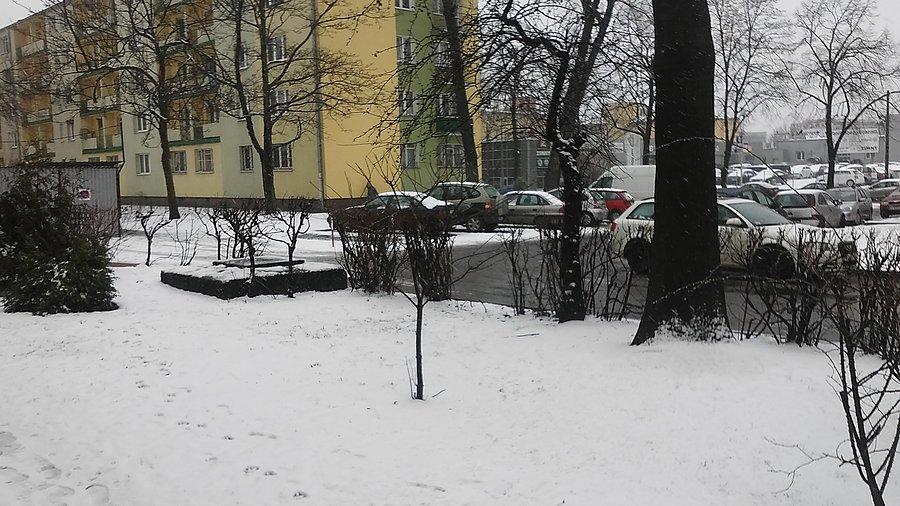 Łódź, podwórko