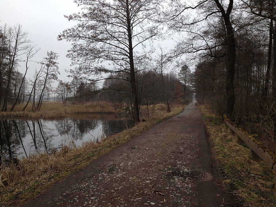 Droga Radolin - Walkowice