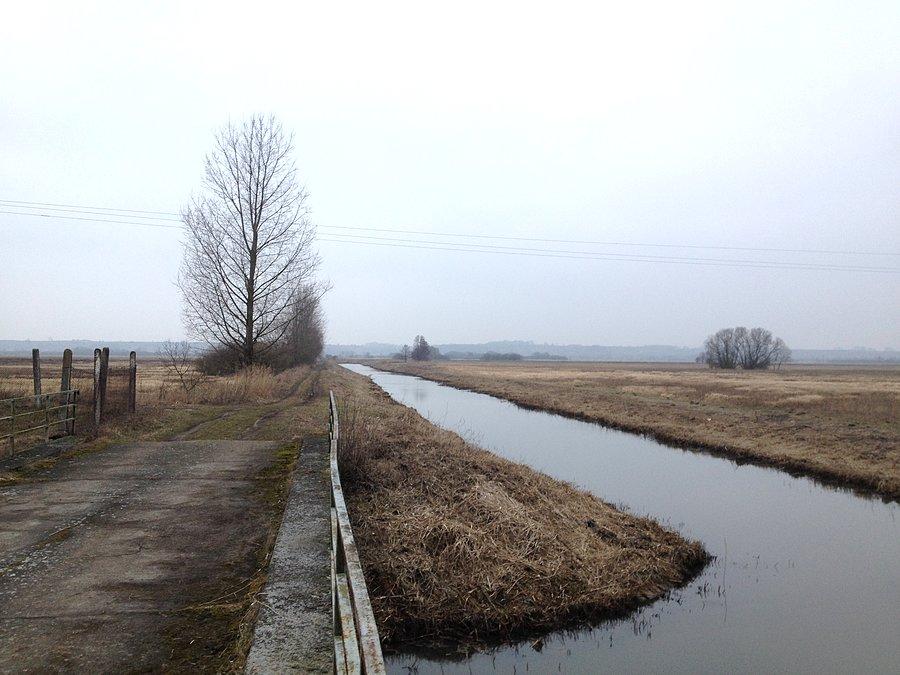 Okolice pompowni odwadniającej w Białej