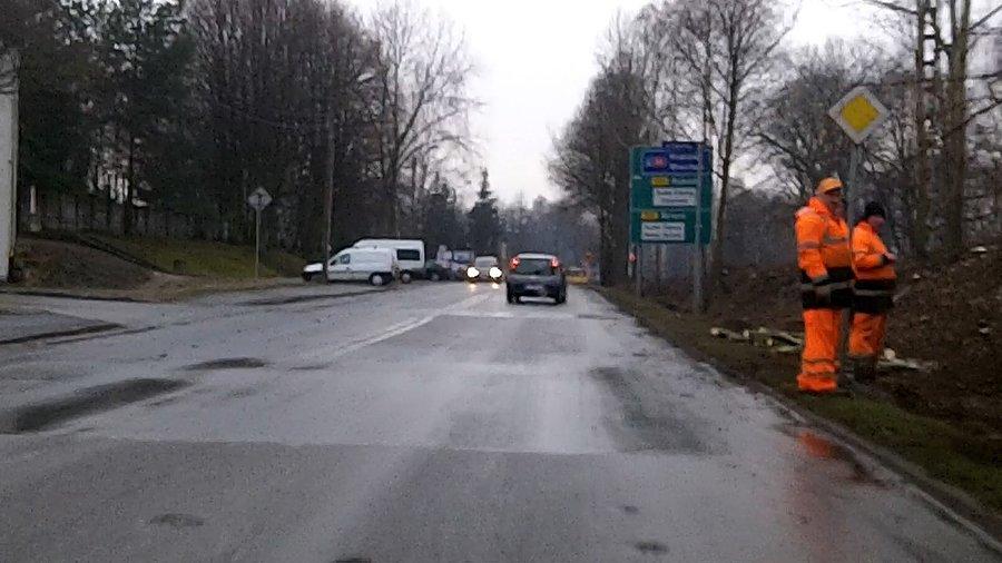 Wycinka drzew, krzaków na Wirku