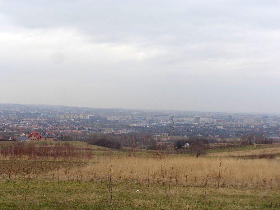 Widok na Miasto