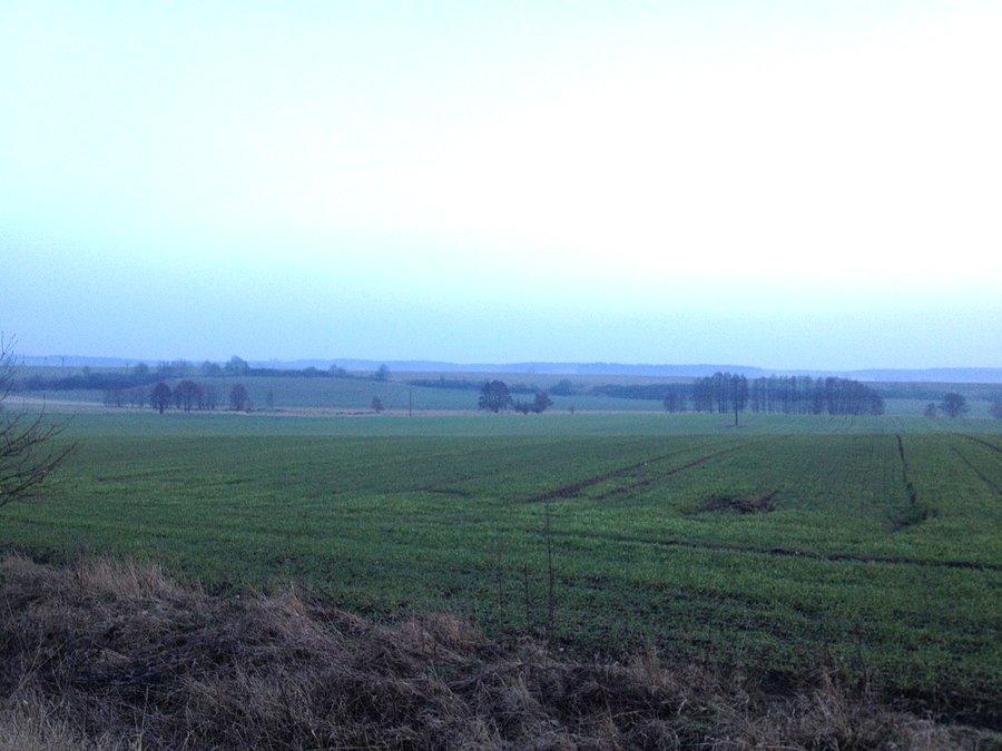 Okolice Bzowa