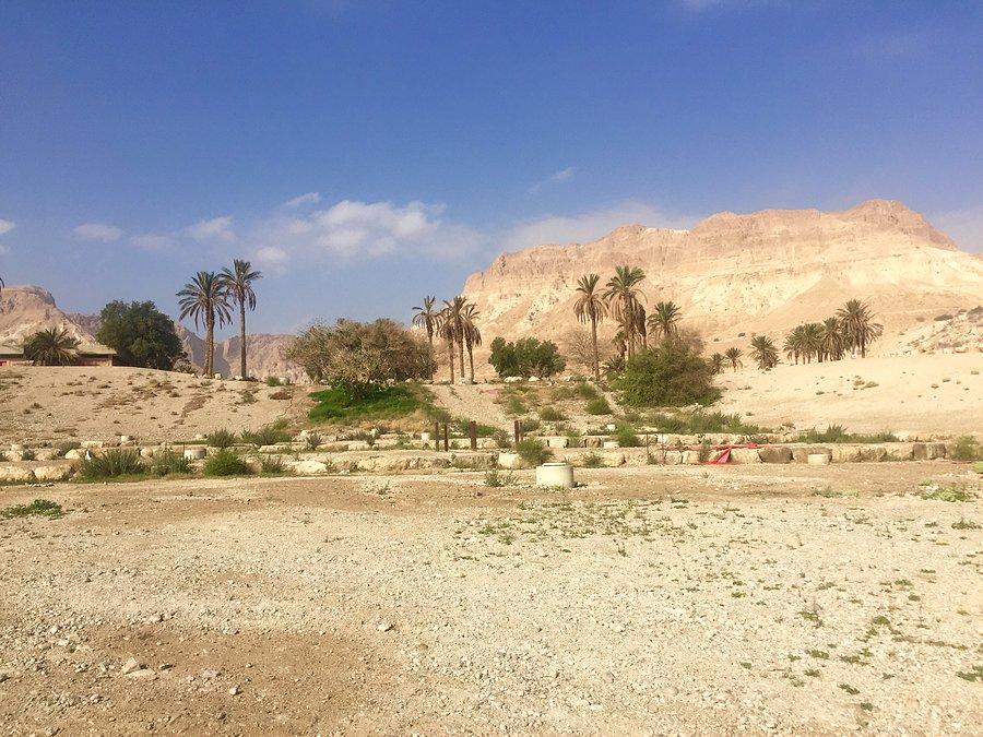 Oaza Ein Gedi