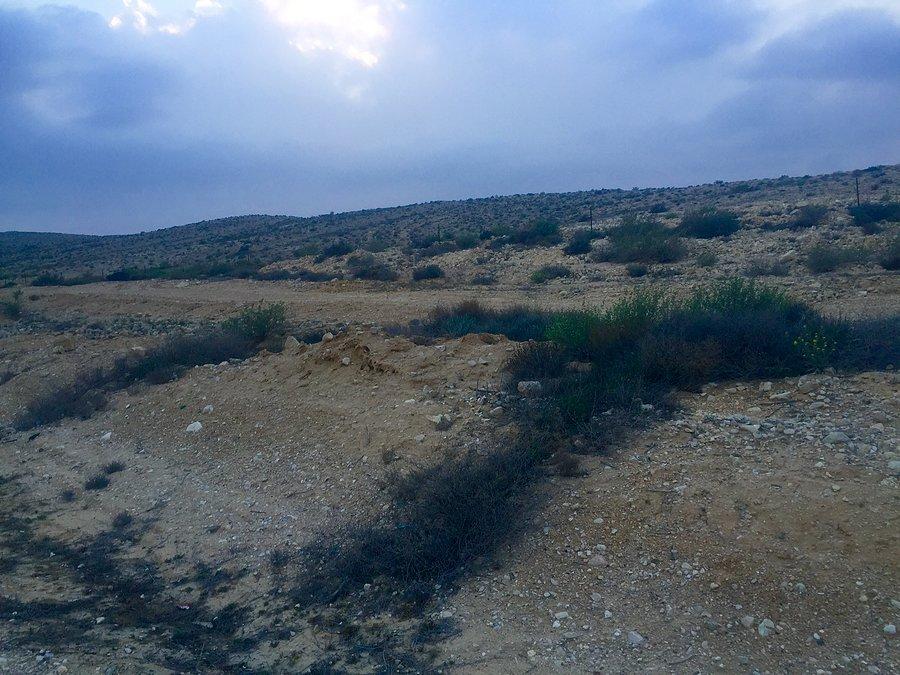 Pustynne widoczki Negev