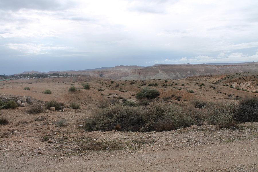 Widok na Negev