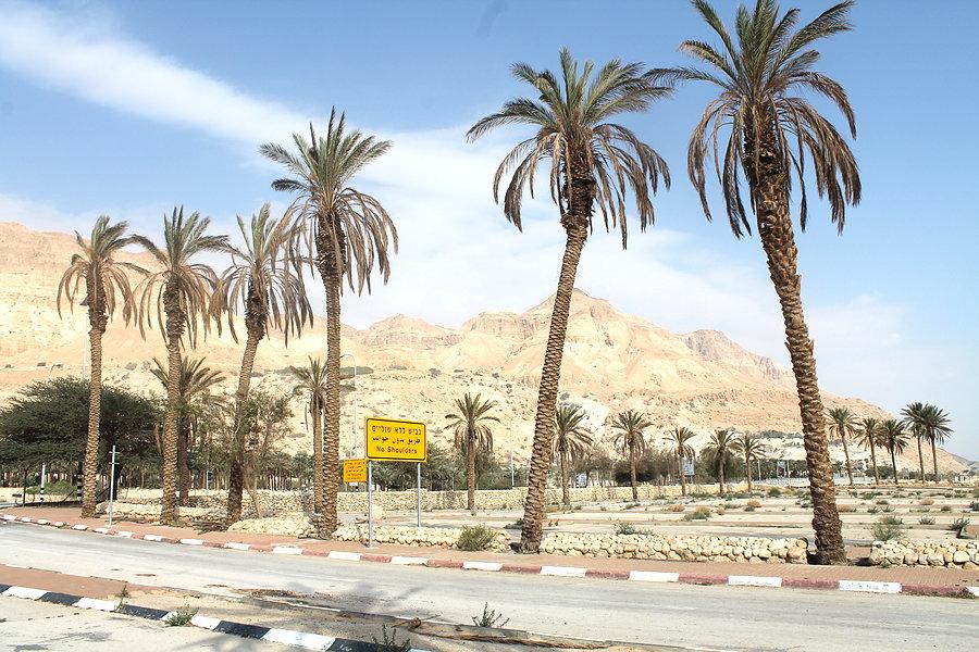 Ein Gedi ma urok