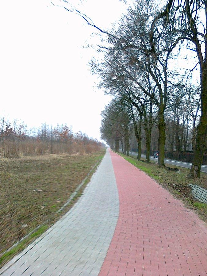 Droga dla rowerów