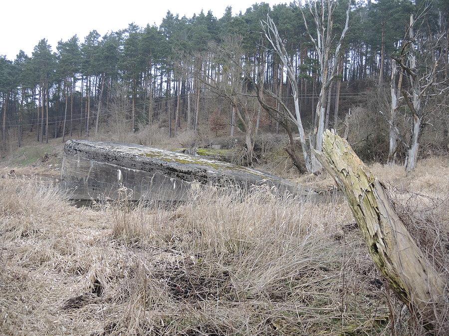 Część północna - zatopione fragmenty jazu fortecznego