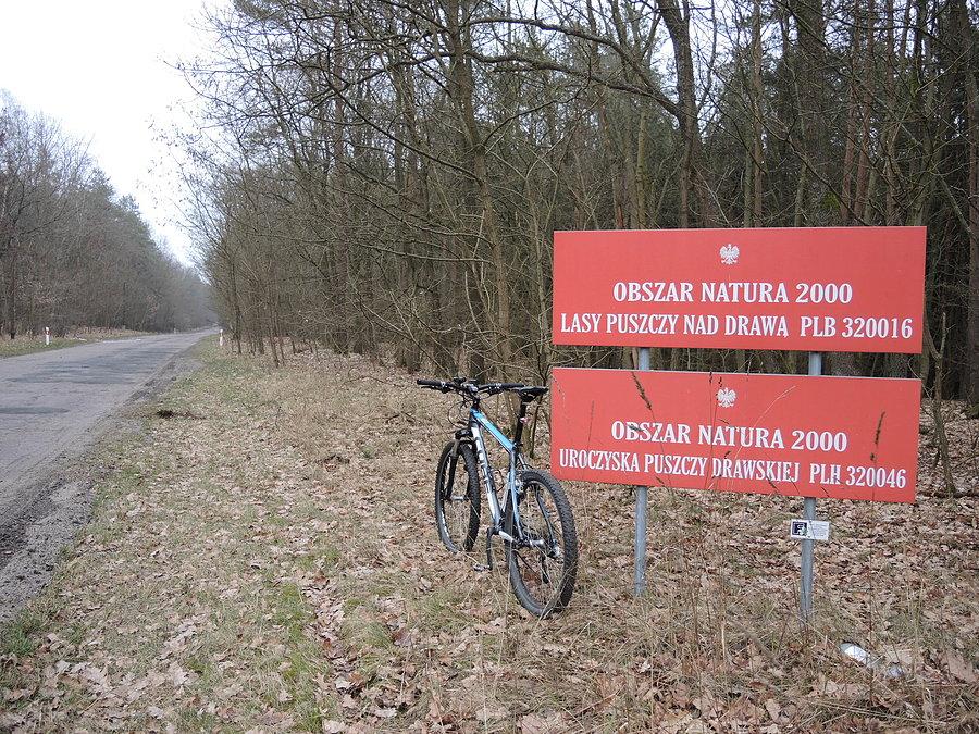 Obszar Natura 2000 - w drodze powrotnej do Krzyża Wlkp
