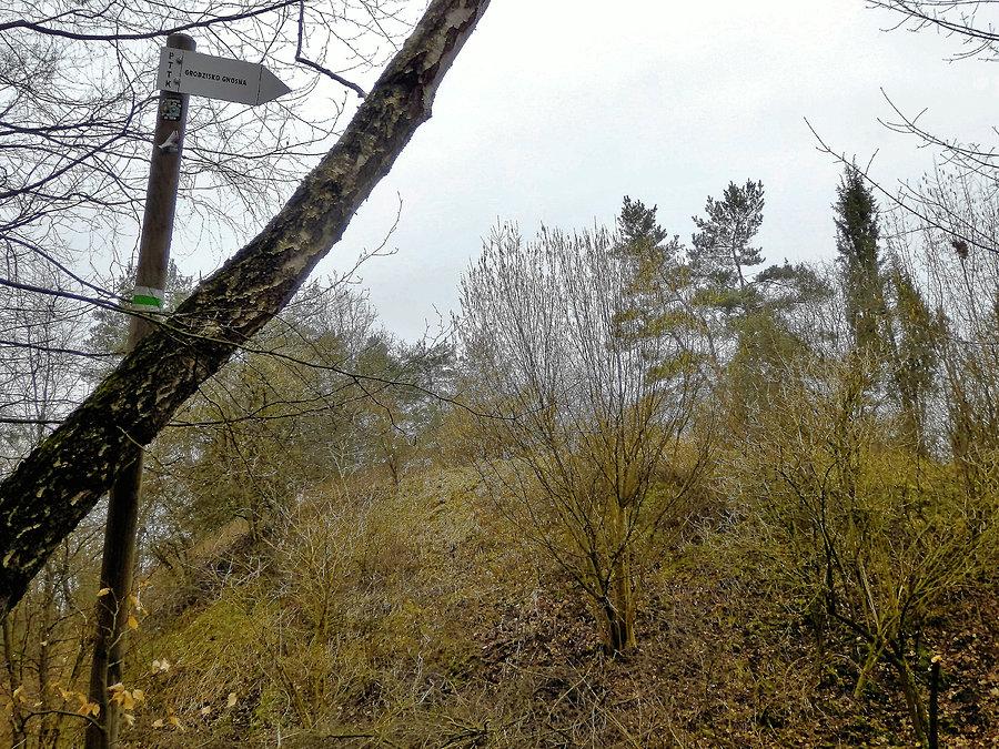 Wycieczka na najwyższy szczyt Kociewia - Panina Góra 187 m n.p.m. Jesteśmy na miejscu