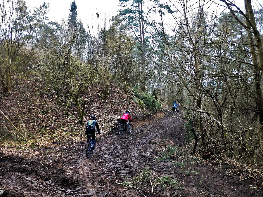 Wycieczka na najwyższy szczyt Kociewia - Panina Góra 187 m n.p.m. Jesteśmy na miejscu