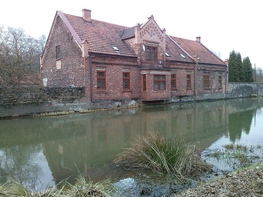 Dąbrowska Wenecja - Okradzionów Młyn