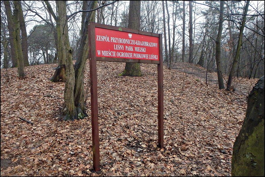 Zabytkowy park w Podkowie Leśnej