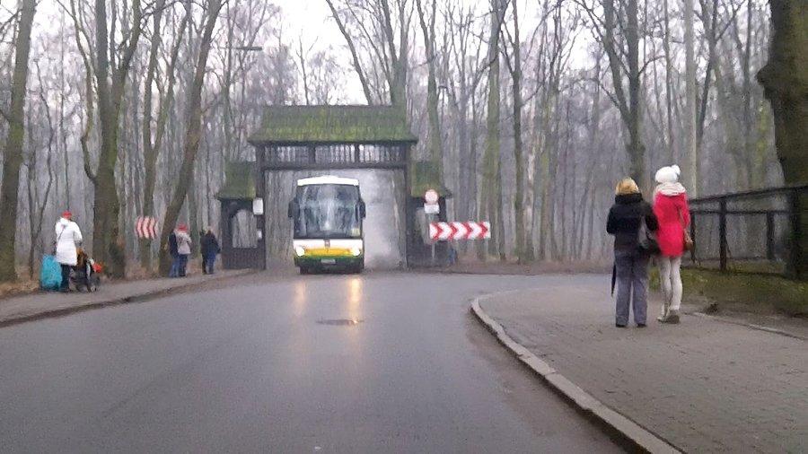 Jakaś wycieczka szkolna?