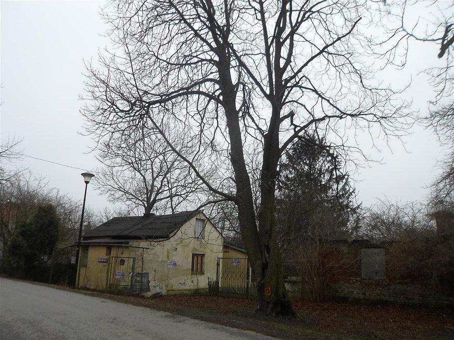 Ulica Moczydłowska