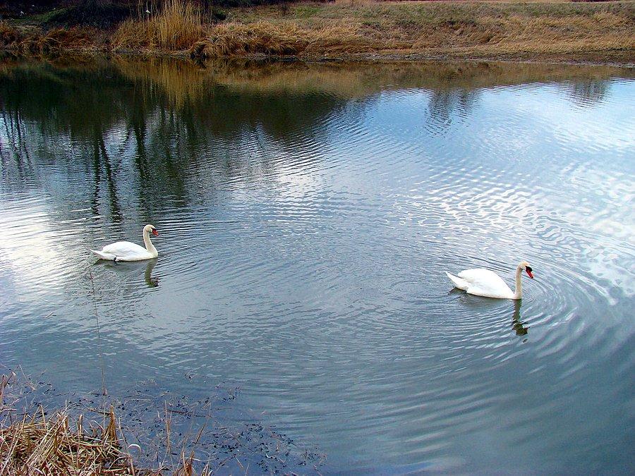 Nad Odrą