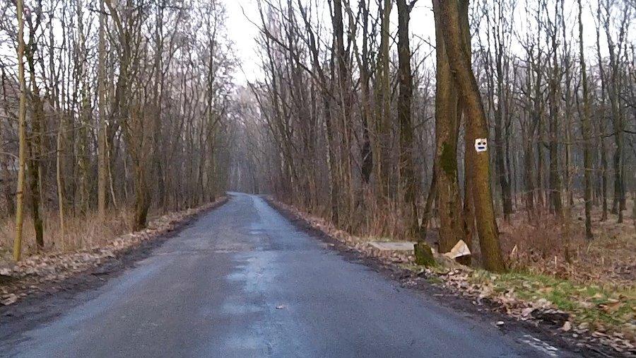 Fragment niebieskiego szlaku dookoła Zabrza