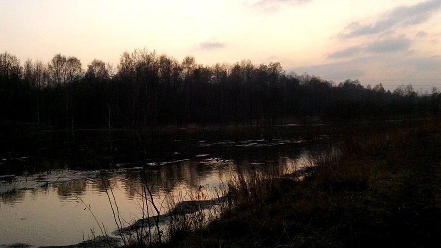 Dobrze, że zdjęcia nie przekazują zapachu... ale na zdjęciu widoczek "przyjemny"