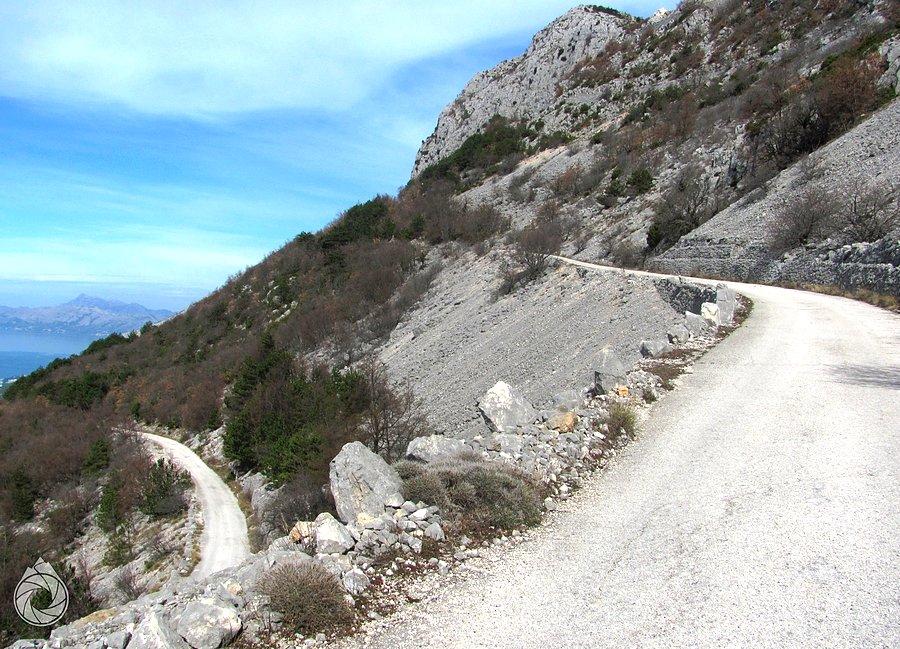 Powyżej 550m szosa wchodzi w serpentyny nad drzewa