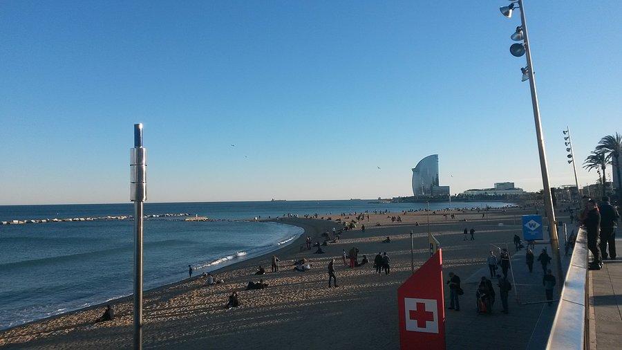 Plaża w Barcelonie