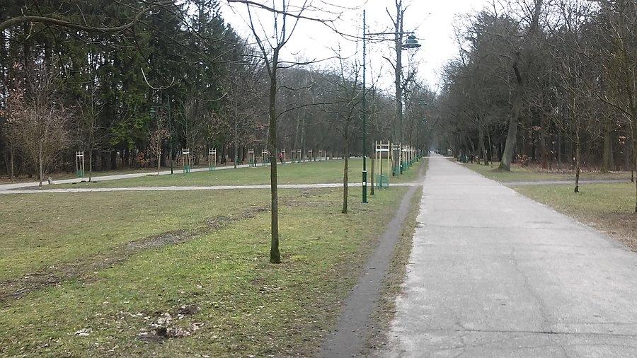 Park na Zdrowiu