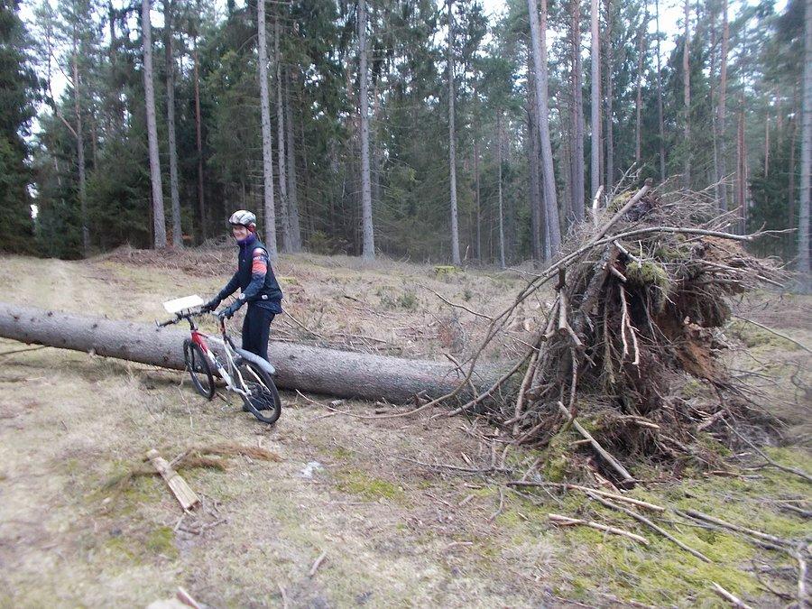 51 PreHarpagan - Bytów
