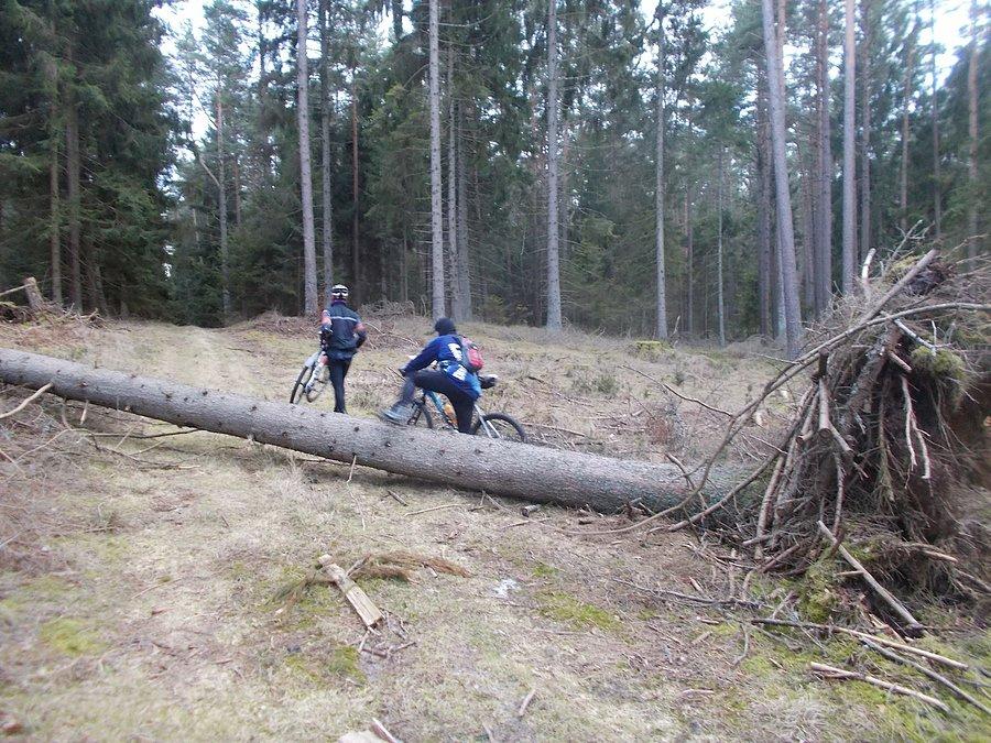 51 PreHarpagan - Bytów