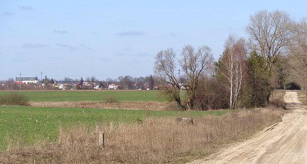Janów Podlaski na horyzoncie