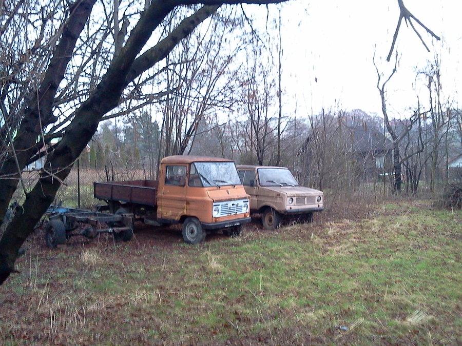 Żuk i Tarpan